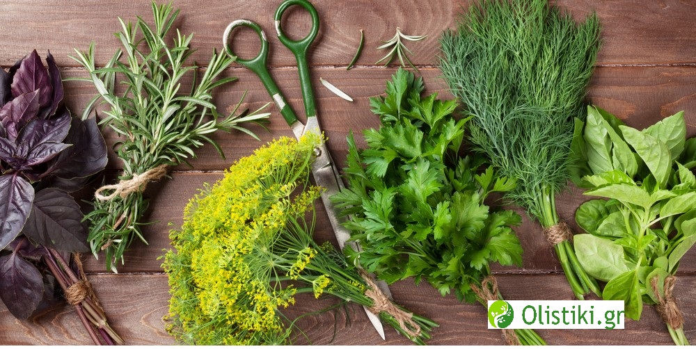 Βότανα του καλοκαιριού