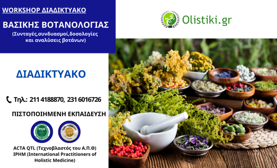 Workshop Eισαγωγή στη Βασικής βοτανολογία - ΔΙΑΔΙΚΤΥΑΚΟ